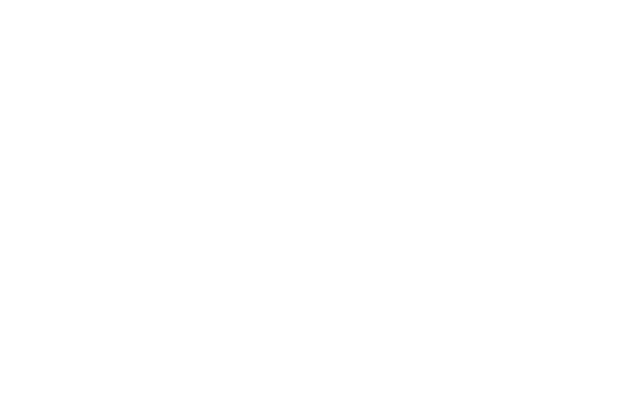 Aurea Investments